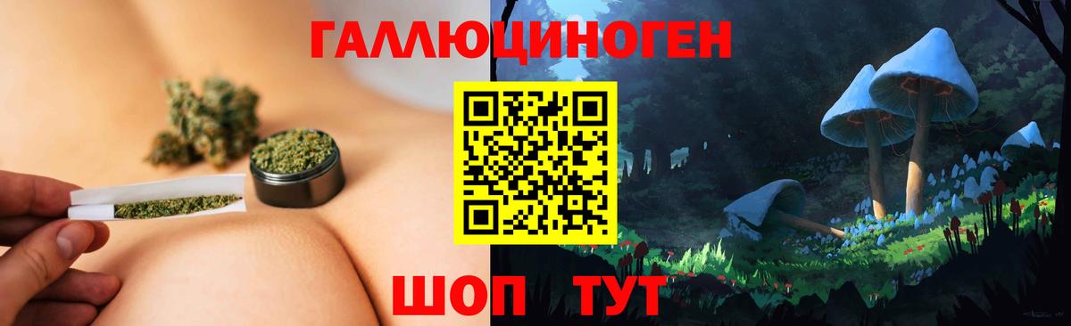 Чайковский  Псилоцибиновые грибы Cubensis  Вход с VPN 