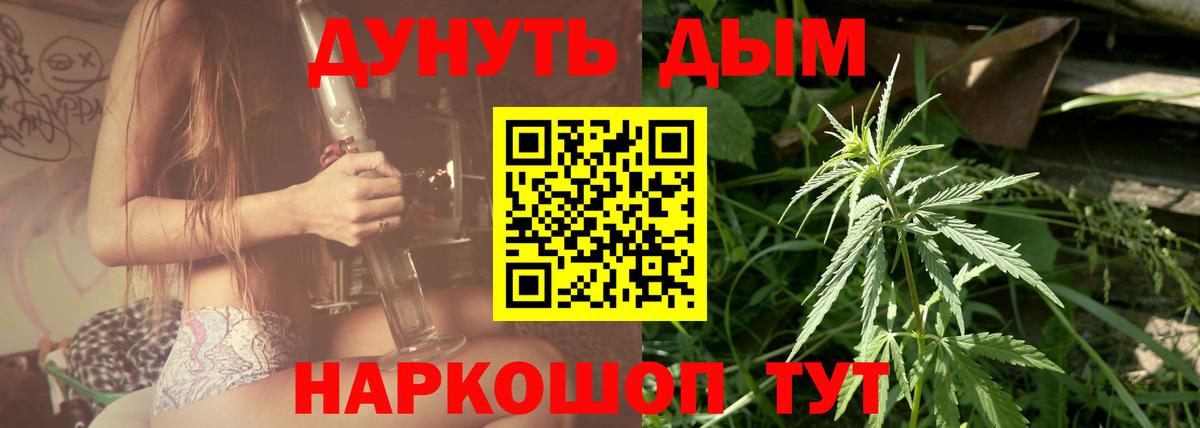 Канабис сатива Чайковский